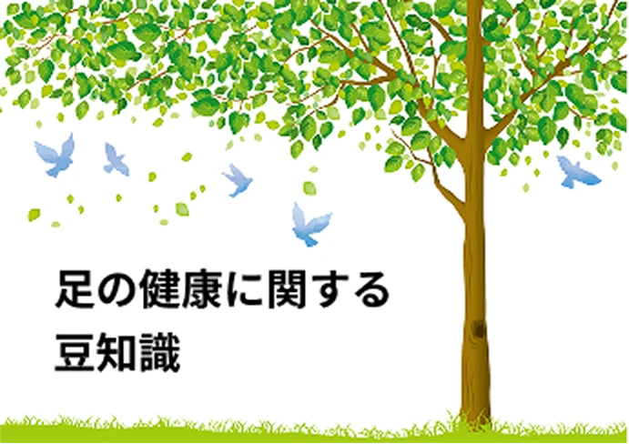 足の健康を保つためのポイント